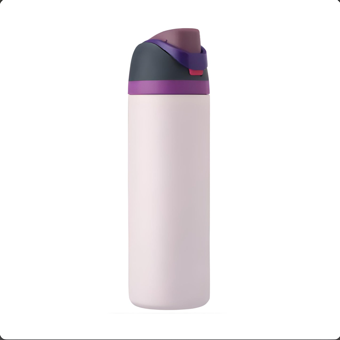 Stainless Steel Insulated Water Bottle