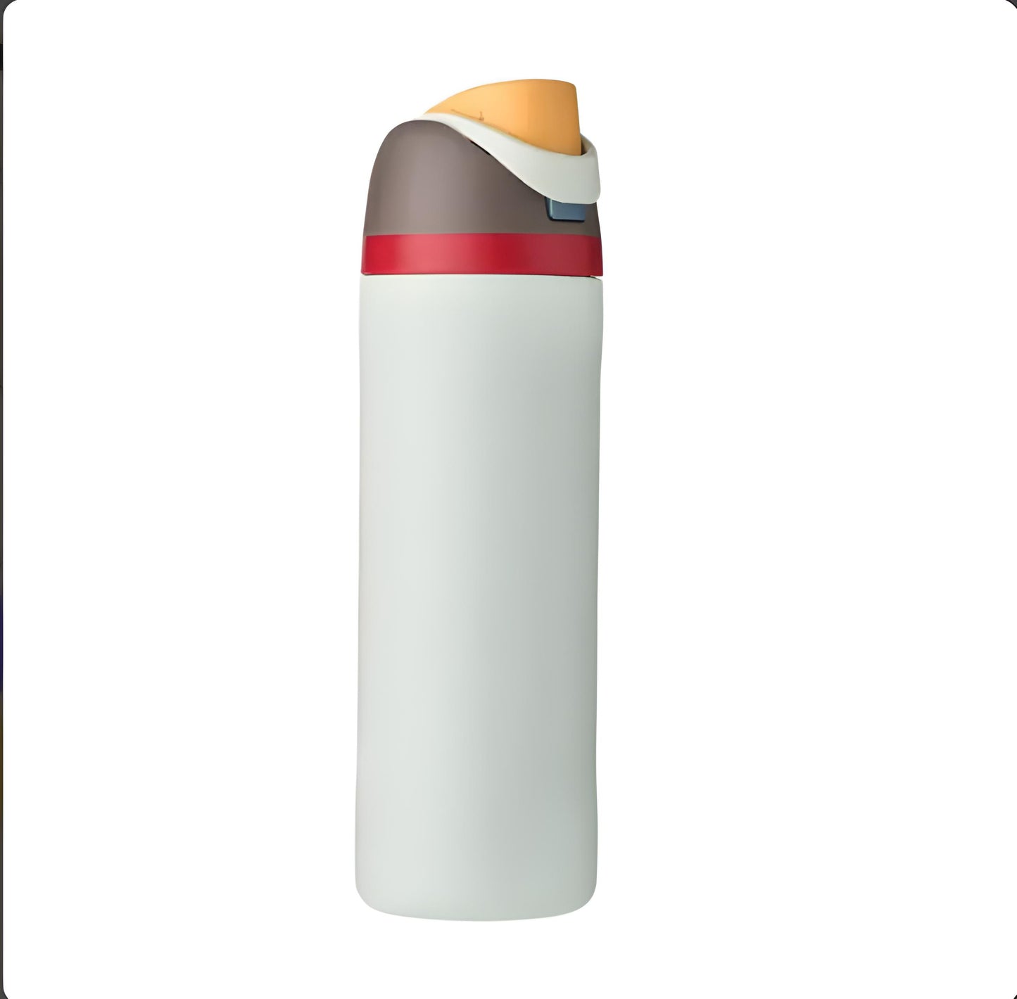 Stainless Steel Insulated Water Bottle